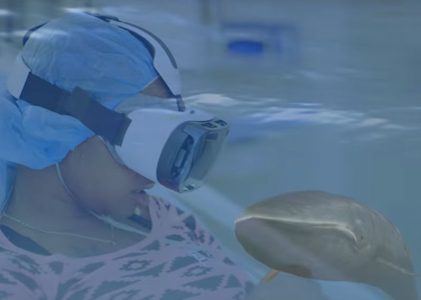 VR-Anwendungen im Gesundheitswesen