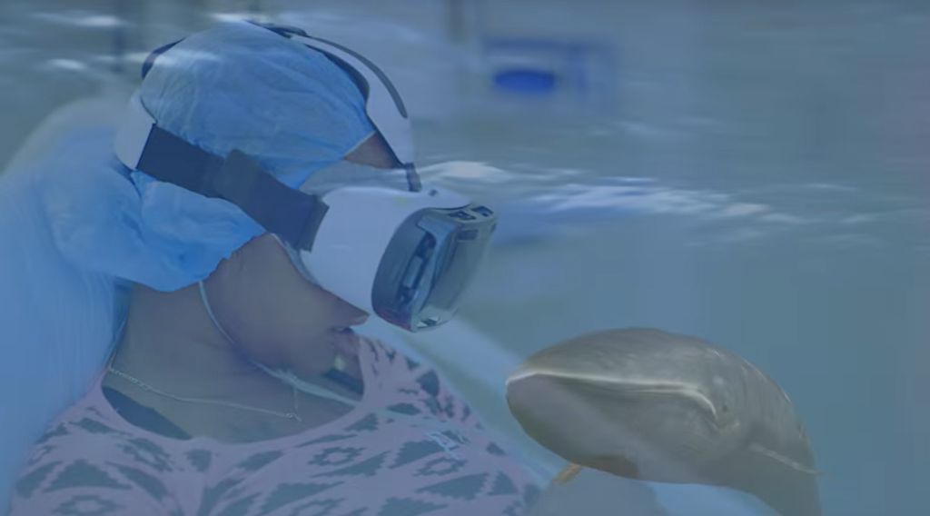 VR-Anwendungen im Gesundheitswesen